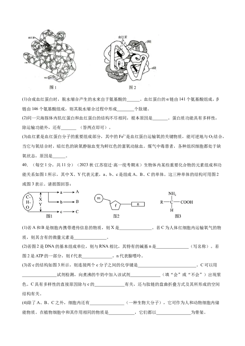 第一单元细胞的概述及其分子组成（原卷版）_2024年新高考资料_1.2024一轮复习_2024年高考生物一轮复习讲练测（新教材新高考）