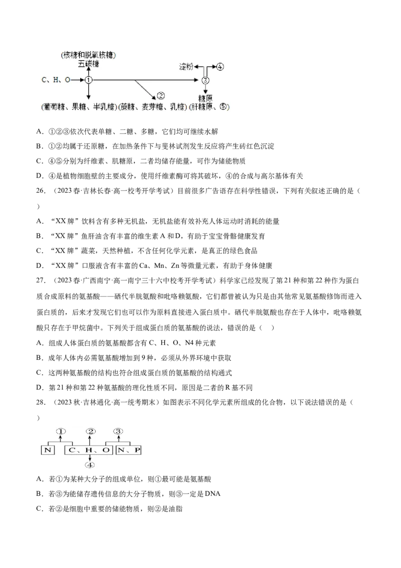 第一单元细胞的概述及其分子组成（原卷版）_2024年新高考资料_1.2024一轮复习_2024年高考生物一轮复习讲练测（新教材新高考）