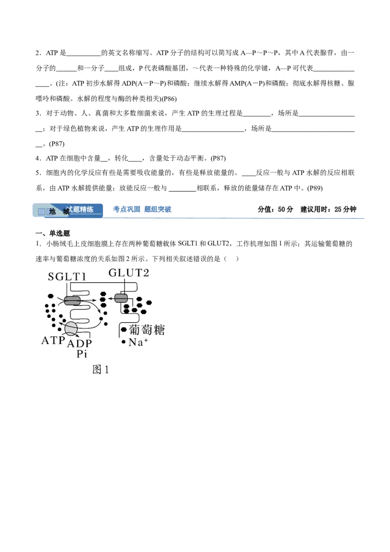 考点通关卷08酶和ATP（原卷版）_2024年新高考资料_1.2024一轮复习_2024年高考生物一轮复习考点通关卷（新高考通用）_考点通关卷08+酶和ATP-2024年高考生物一轮复习考点通关卷
