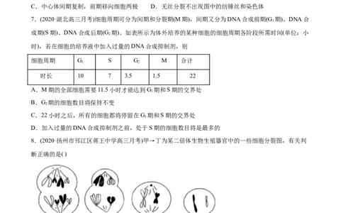 专题04有丝分裂和减数分裂-2021年高考生物真题与模拟题分类训练（学生版）_新高考复习资料_2023年新高考复习资料_一轮复习_2023年新高考大一轮复习讲义