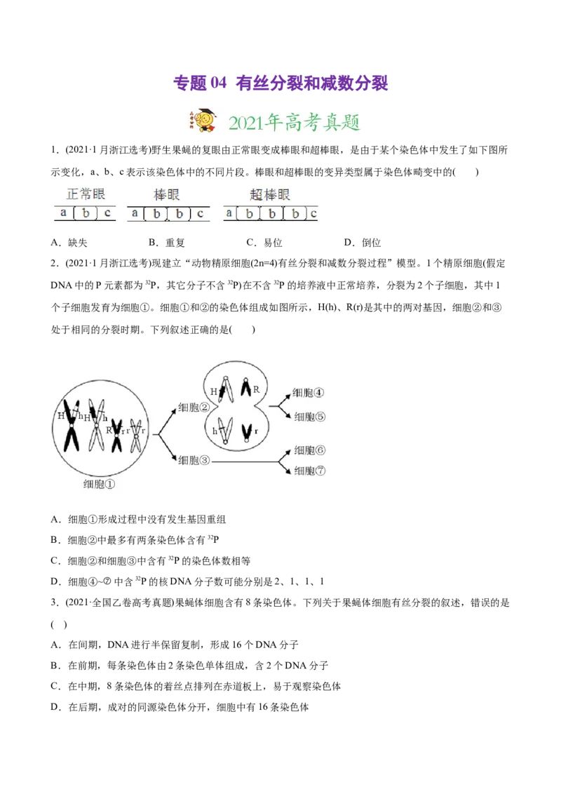 专题04有丝分裂和减数分裂-2021年高考生物真题与模拟题分类训练（学生版）_新高考复习资料_2023年新高考复习资料_一轮复习_2023年新高考大一轮复习讲义