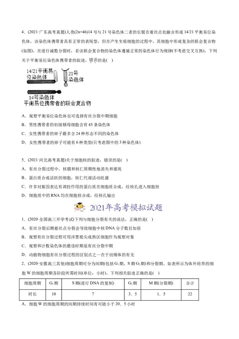 专题04有丝分裂和减数分裂-2021年高考生物真题与模拟题分类训练（学生版）_新高考复习资料_2023年新高考复习资料_一轮复习_2023年新高考大一轮复习讲义