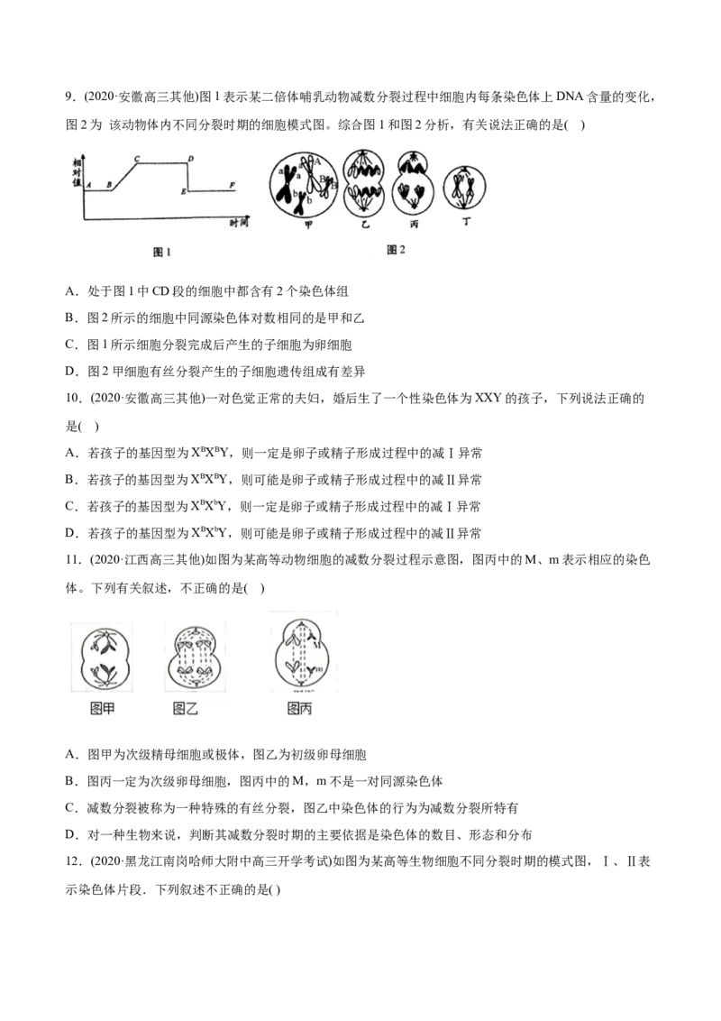 专题04有丝分裂和减数分裂-2021年高考生物真题与模拟题分类训练（学生版）_新高考复习资料_2023年新高考复习资料_一轮复习_2023年新高考大一轮复习讲义