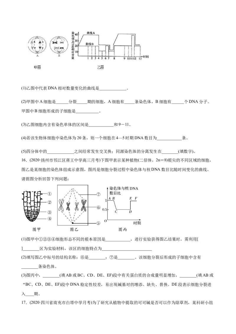 专题04有丝分裂和减数分裂-2021年高考生物真题与模拟题分类训练（学生版）_新高考复习资料_2023年新高考复习资料_一轮复习_2023年新高考大一轮复习讲义
