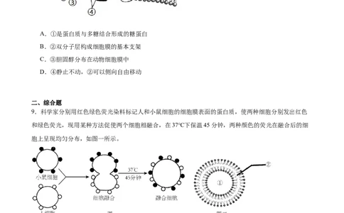 考点通关卷05细胞膜和细胞核（原卷版）_2024年新高考资料_1.2024一轮复习_2024年高考生物一轮复习考点通关卷（新高考通用）