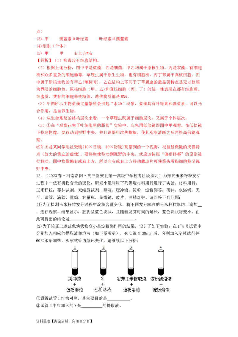 专题01细胞中的元素和无机物（解析版）_通用版（老高考）复习资料_2024年复习资料_完备战2024年高考生物一轮复习抢分特训（全国通用）_教师版（含答案解析）