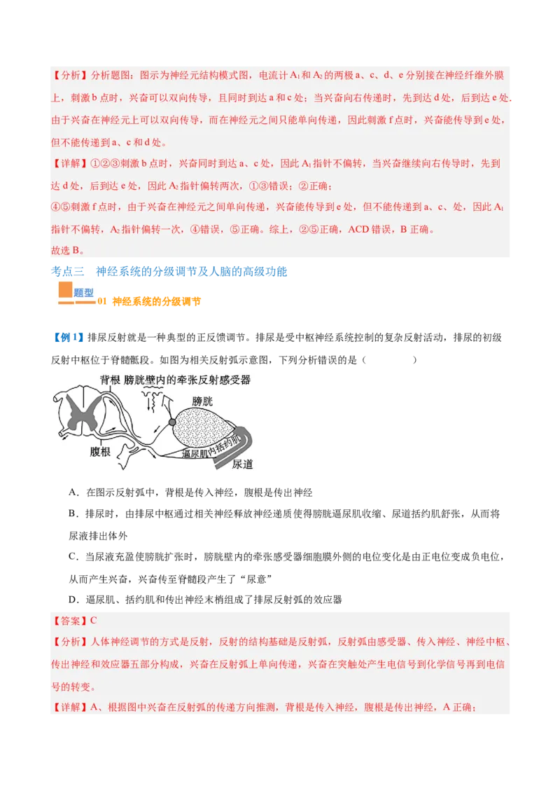 专题12神经调节（6大题型）（解析版）_2025年新高考资料_一轮复习_备战2025年高考生物一轮复习题型全覆盖（新高考通用）