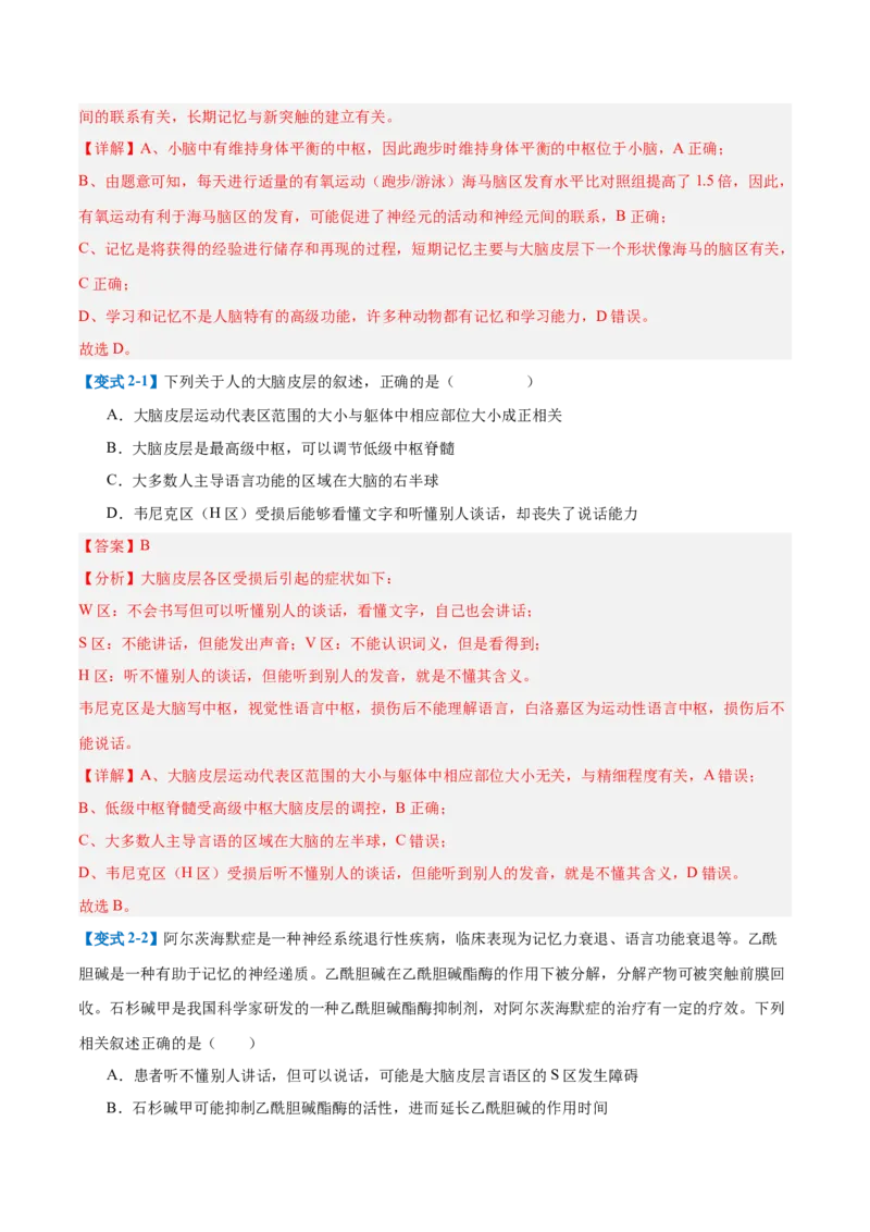 专题12神经调节（6大题型）（解析版）_2025年新高考资料_一轮复习_备战2025年高考生物一轮复习题型全覆盖（新高考通用）