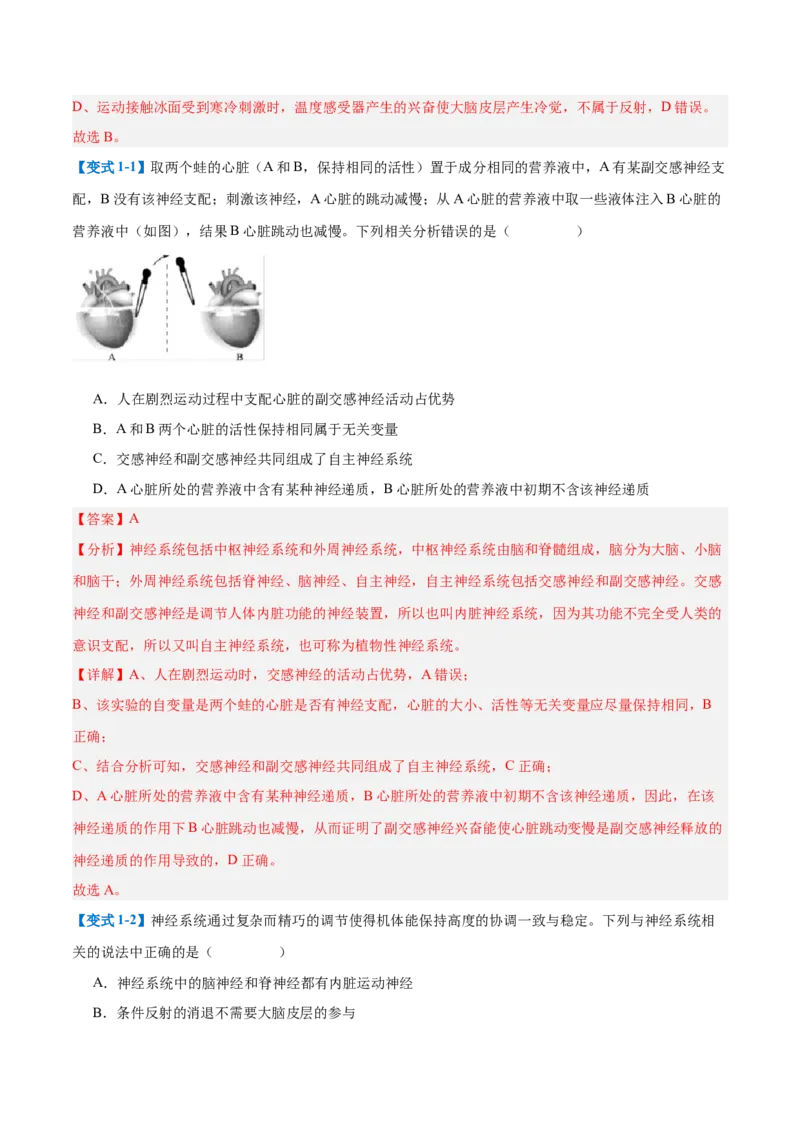 专题12神经调节（6大题型）（解析版）_2025年新高考资料_一轮复习_备战2025年高考生物一轮复习题型全覆盖（新高考通用）