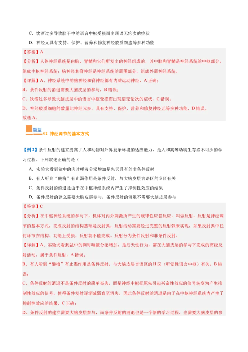 专题12神经调节（6大题型）（解析版）_2025年新高考资料_一轮复习_备战2025年高考生物一轮复习题型全覆盖（新高考通用）