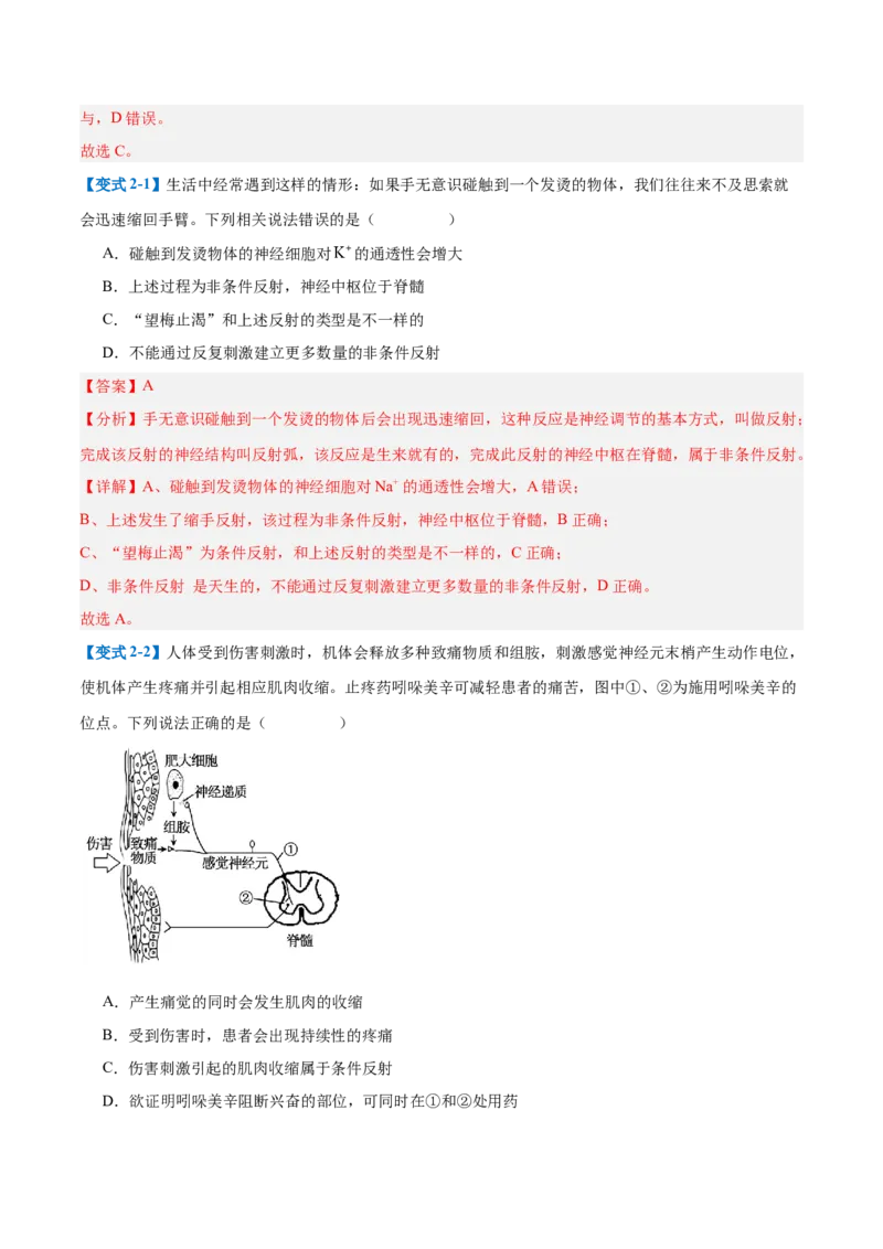 专题12神经调节（6大题型）（解析版）_2025年新高考资料_一轮复习_备战2025年高考生物一轮复习题型全覆盖（新高考通用）