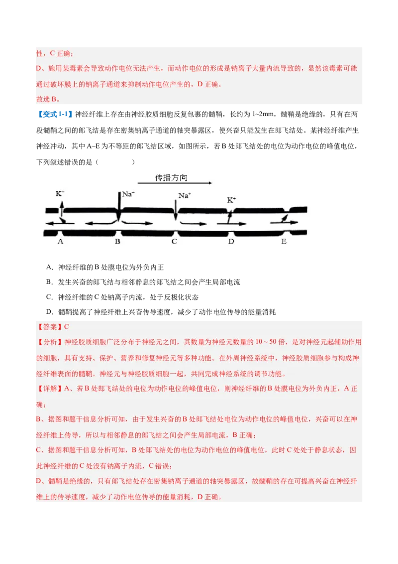 专题12神经调节（6大题型）（解析版）_2025年新高考资料_一轮复习_备战2025年高考生物一轮复习题型全覆盖（新高考通用）