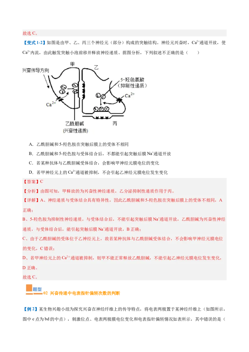 专题12神经调节（6大题型）（解析版）_2025年新高考资料_一轮复习_备战2025年高考生物一轮复习题型全覆盖（新高考通用）