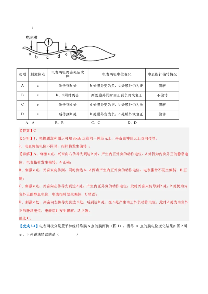 专题12神经调节（6大题型）（解析版）_2025年新高考资料_一轮复习_备战2025年高考生物一轮复习题型全覆盖（新高考通用）