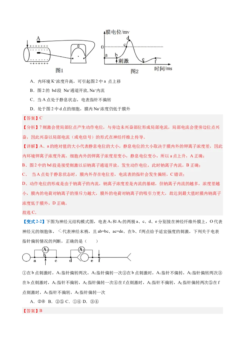 专题12神经调节（6大题型）（解析版）_2025年新高考资料_一轮复习_备战2025年高考生物一轮复习题型全覆盖（新高考通用）
