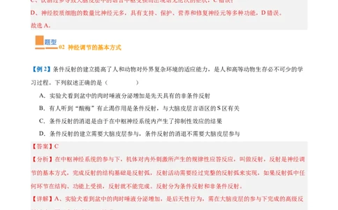 专题12神经调节（6大题型）（解析版）_2025年新高考资料_一轮复习_备战2025年高考生物一轮复习题型全覆盖（新高考通用）