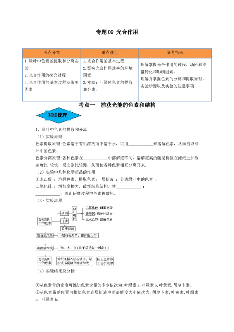 专题09光合作用（串讲）（原卷版）_新高考复习资料_2024年新高考复习资料_一轮复习资料_完备战2024年高考生物一轮复习串讲精练（新高考专用）_串讲