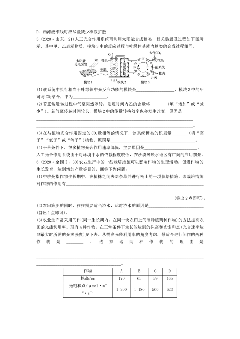 专题09光合作用（串讲）（原卷版）_新高考复习资料_2024年新高考复习资料_一轮复习资料_完备战2024年高考生物一轮复习串讲精练（新高考专用）_串讲