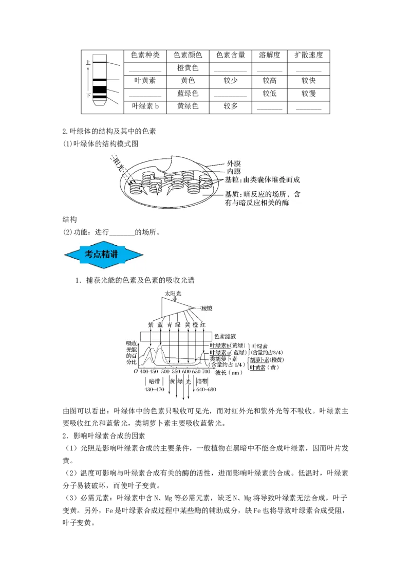 专题09光合作用（串讲）（原卷版）_新高考复习资料_2024年新高考复习资料_一轮复习资料_完备战2024年高考生物一轮复习串讲精练（新高考专用）_串讲