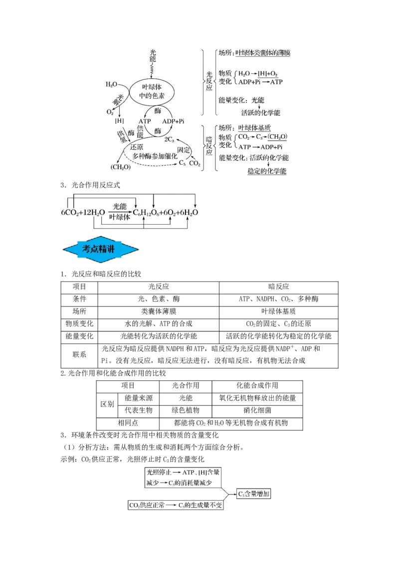 专题09光合作用（串讲）（原卷版）_新高考复习资料_2024年新高考复习资料_一轮复习资料_完备战2024年高考生物一轮复习串讲精练（新高考专用）_串讲
