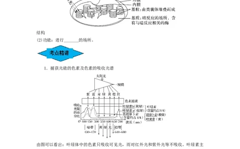 专题09光合作用（串讲）（原卷版）_新高考复习资料_2024年新高考复习资料_一轮复习资料_完备战2024年高考生物一轮复习串讲精练（新高考专用）_串讲