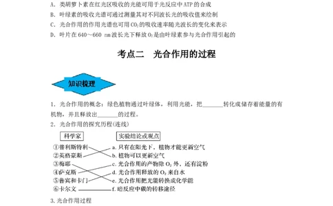 专题09光合作用（串讲）（原卷版）_新高考复习资料_2024年新高考复习资料_一轮复习资料_完备战2024年高考生物一轮复习串讲精练（新高考专用）_串讲
