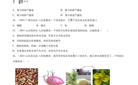 01生物的生殖和发育B卷（原卷版）_初中全科电子版试卷练习试题_生物_生物8下练习_人教生物8年级下单元试卷38份_第3套八年级生物下册单元试卷（人教版）06份