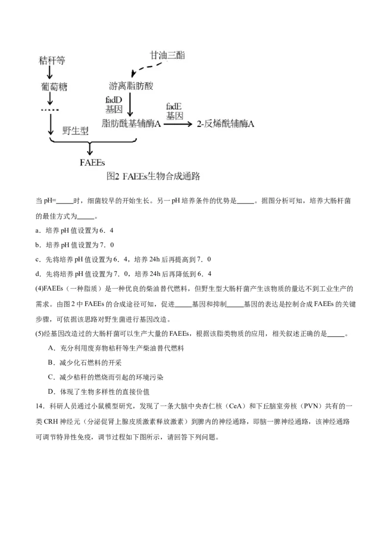 黄金卷03（考试版）-赢在高考&middot;黄金8卷备战2024年高考生物模拟卷（天津专用）_2024年新高考资料_4.2024高考模拟预测试卷