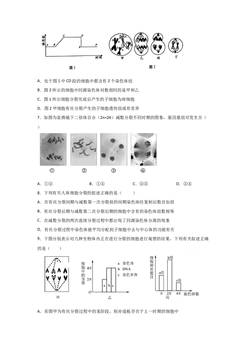 专题11_减数分裂与受精作用(学生版)_新高考复习资料_2023年新高考复习资料_二轮复习_增分要点2023高考生物二轮复习专题解读和分层训练291073137