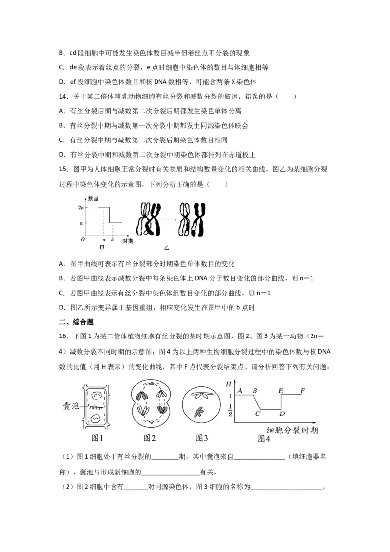 专题11_减数分裂与受精作用(学生版)_新高考复习资料_2023年新高考复习资料_二轮复习_增分要点2023高考生物二轮复习专题解读和分层训练291073137