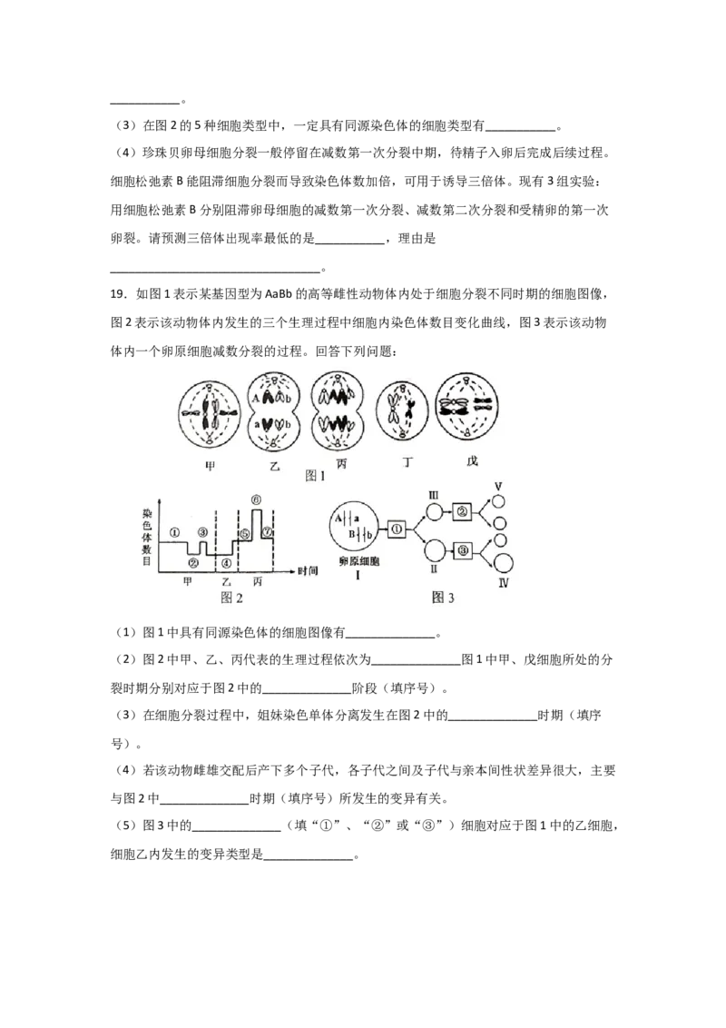 专题11_减数分裂与受精作用(学生版)_新高考复习资料_2023年新高考复习资料_二轮复习_增分要点2023高考生物二轮复习专题解读和分层训练291073137