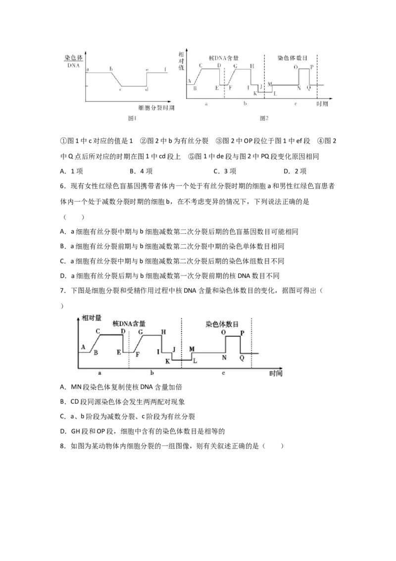 专题11_减数分裂与受精作用(学生版)_新高考复习资料_2023年新高考复习资料_二轮复习_增分要点2023高考生物二轮复习专题解读和分层训练291073137
