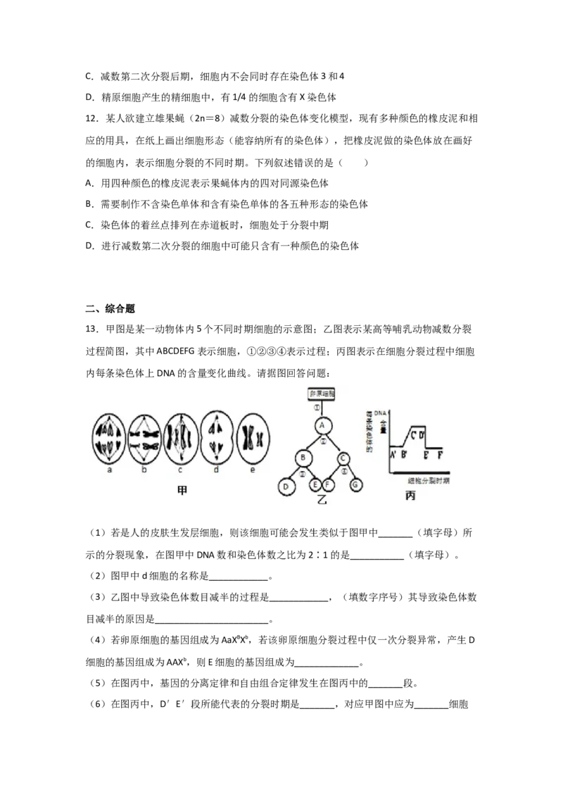 专题11_减数分裂与受精作用(学生版)_新高考复习资料_2023年新高考复习资料_二轮复习_增分要点2023高考生物二轮复习专题解读和分层训练291073137