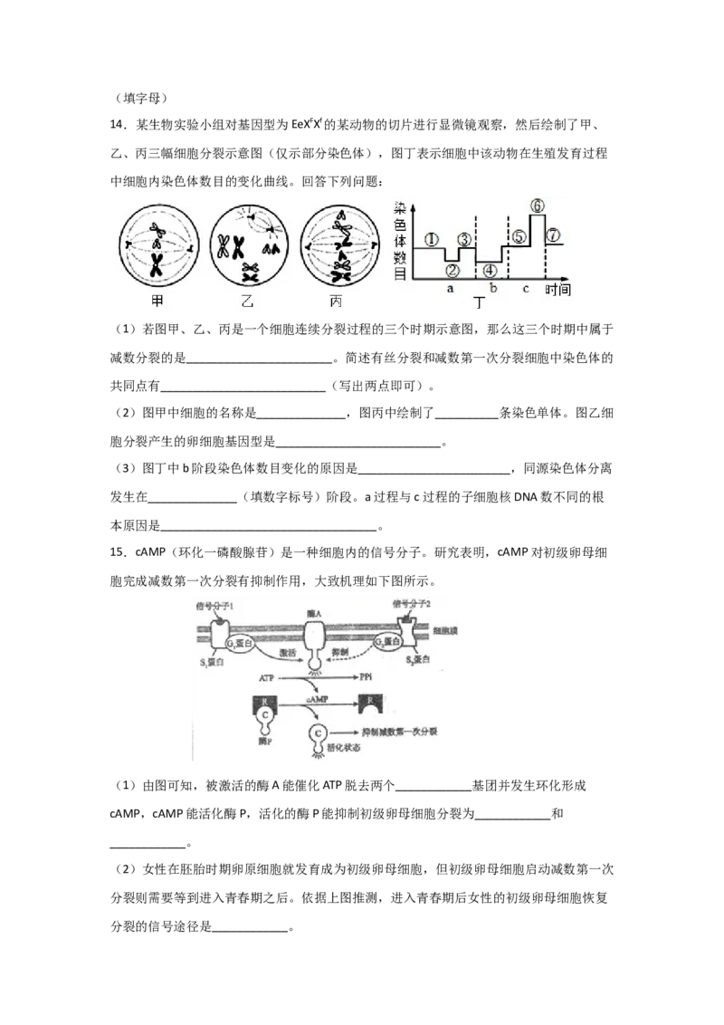 专题11_减数分裂与受精作用(学生版)_新高考复习资料_2023年新高考复习资料_二轮复习_增分要点2023高考生物二轮复习专题解读和分层训练291073137