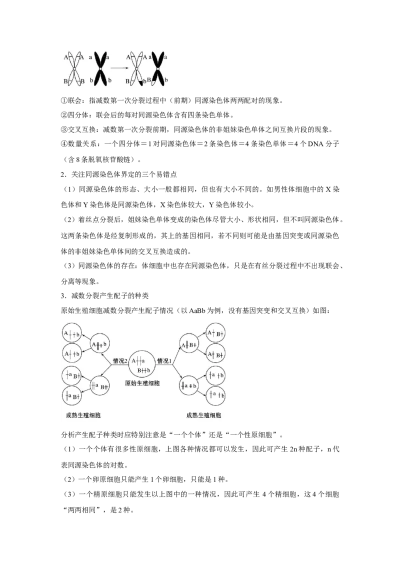 专题11_减数分裂与受精作用(学生版)_新高考复习资料_2023年新高考复习资料_二轮复习_增分要点2023高考生物二轮复习专题解读和分层训练291073137