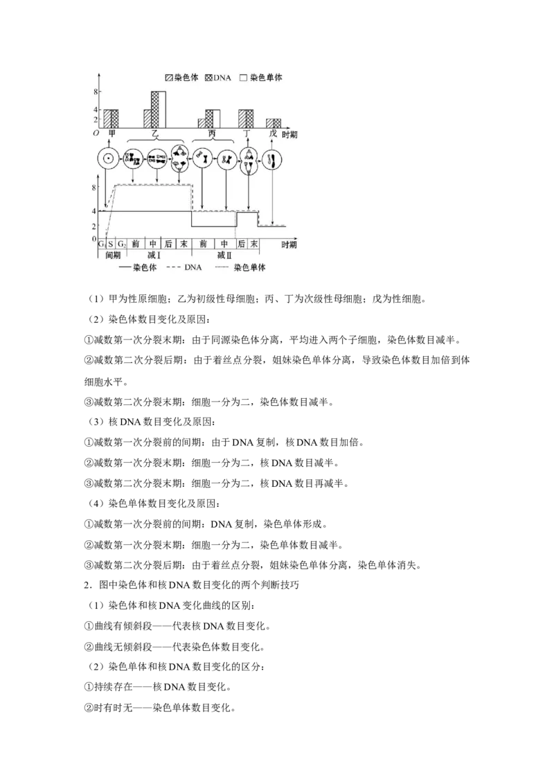 专题11_减数分裂与受精作用(学生版)_新高考复习资料_2023年新高考复习资料_二轮复习_增分要点2023高考生物二轮复习专题解读和分层训练291073137