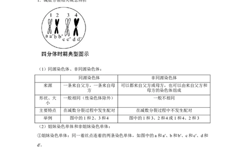 专题11_减数分裂与受精作用(学生版)_新高考复习资料_2023年新高考复习资料_二轮复习_增分要点2023高考生物二轮复习专题解读和分层训练291073137