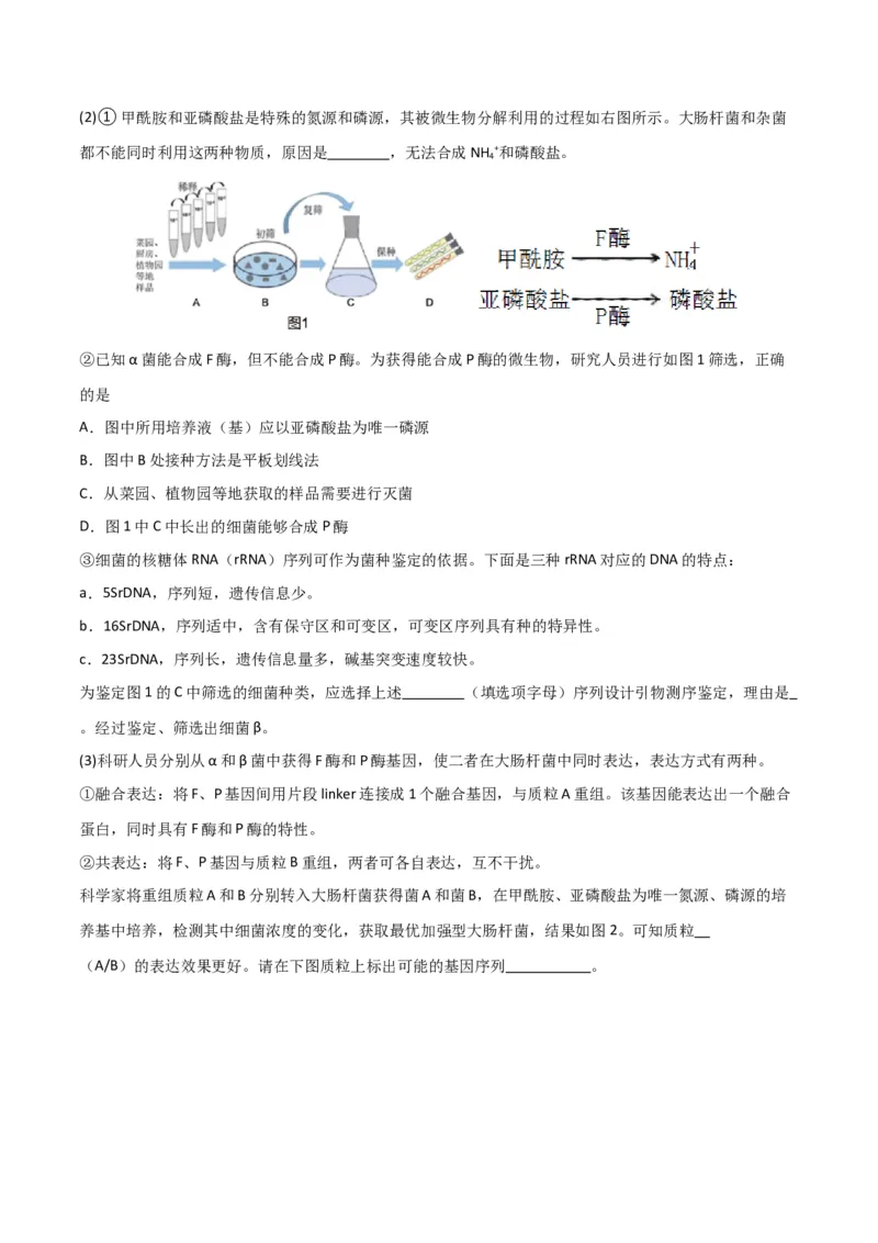 黄金卷04（考试版）-赢在高考&middot;黄金8卷备战2024年高考生物模拟卷（北京专用）_2024年新高考资料_4.2024高考模拟预测试卷