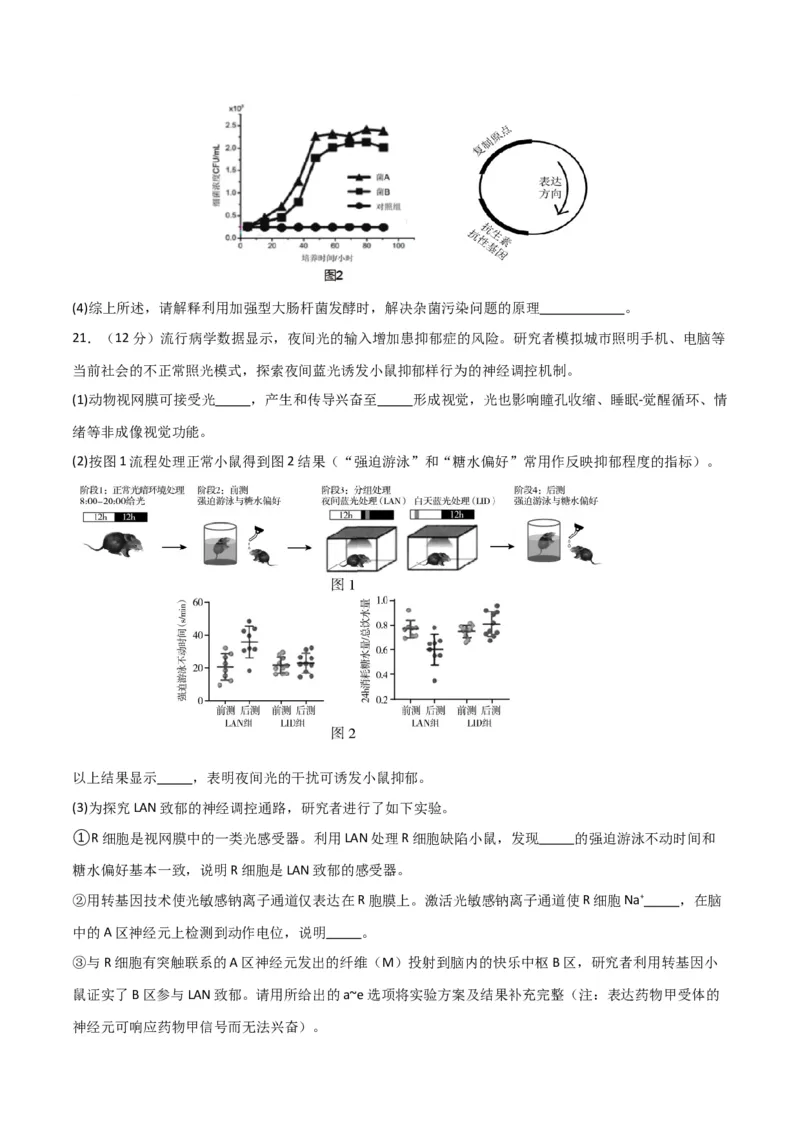 黄金卷04（考试版）-赢在高考&middot;黄金8卷备战2024年高考生物模拟卷（北京专用）_2024年新高考资料_4.2024高考模拟预测试卷