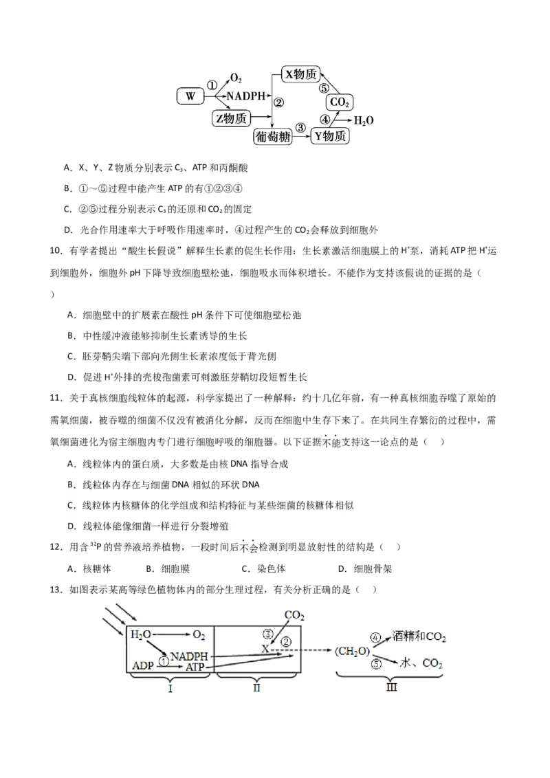 黄金卷04（考试版）-赢在高考&middot;黄金8卷备战2024年高考生物模拟卷（北京专用）_2024年新高考资料_4.2024高考模拟预测试卷