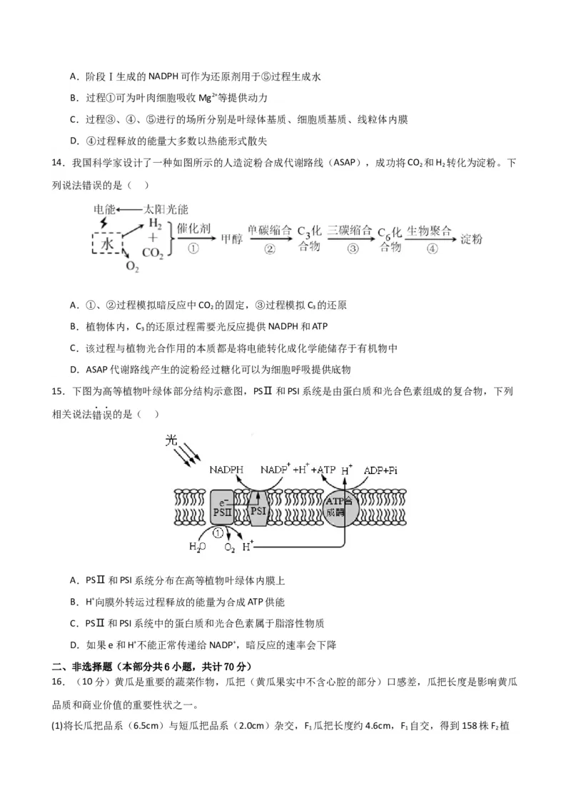 黄金卷04（考试版）-赢在高考&middot;黄金8卷备战2024年高考生物模拟卷（北京专用）_2024年新高考资料_4.2024高考模拟预测试卷