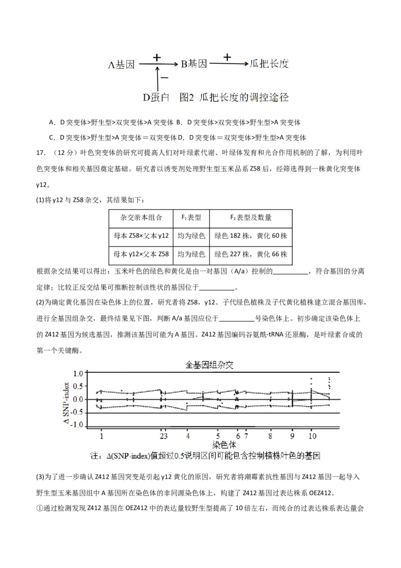 黄金卷04（考试版）-赢在高考&middot;黄金8卷备战2024年高考生物模拟卷（北京专用）_2024年新高考资料_4.2024高考模拟预测试卷