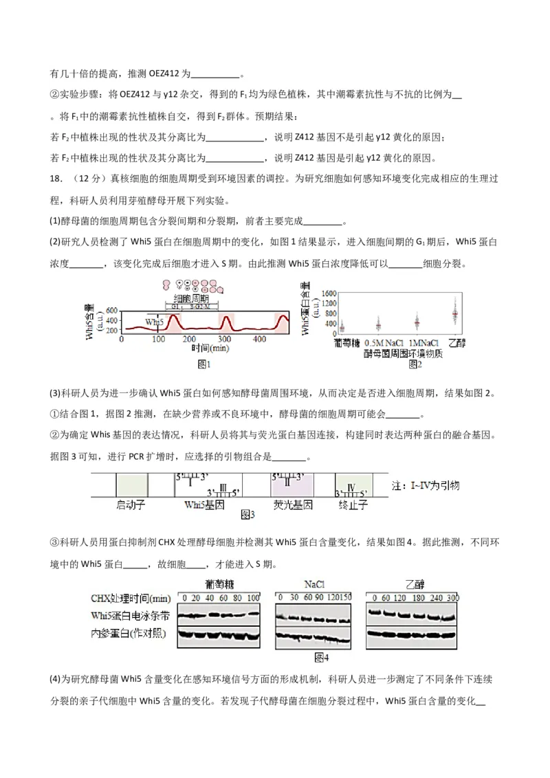 黄金卷04（考试版）-赢在高考&middot;黄金8卷备战2024年高考生物模拟卷（北京专用）_2024年新高考资料_4.2024高考模拟预测试卷