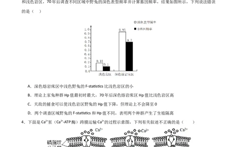 黄金卷04（考试版）-赢在高考&middot;黄金8卷备战2024年高考生物模拟卷（北京专用）_2024年新高考资料_4.2024高考模拟预测试卷