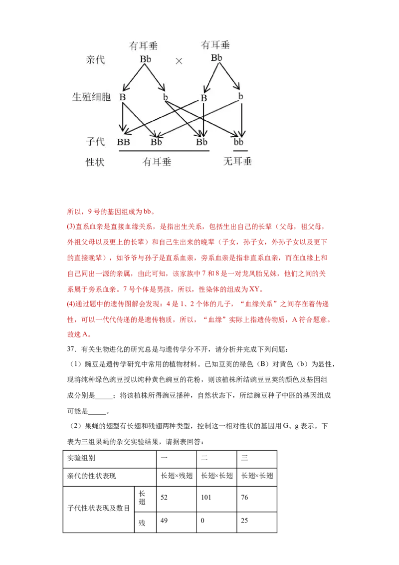 01-八年级生物下学期期末综合测试卷（人教版）（解析版）_new_初中全科电子版试卷练习试题_生物_生物8下练习_人教生物8年级下期末试卷12份
