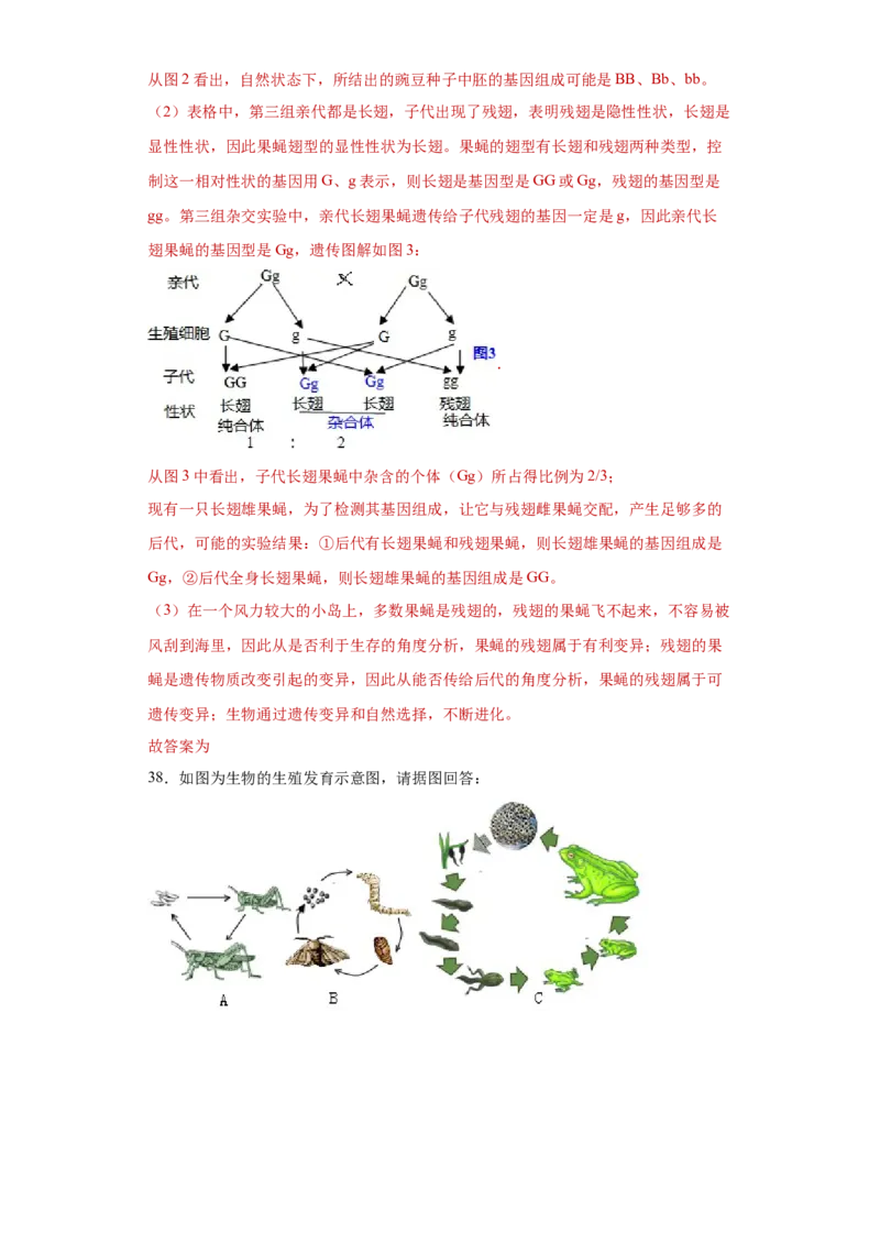 01-八年级生物下学期期末综合测试卷（人教版）（解析版）_new_初中全科电子版试卷练习试题_生物_生物8下练习_人教生物8年级下期末试卷12份