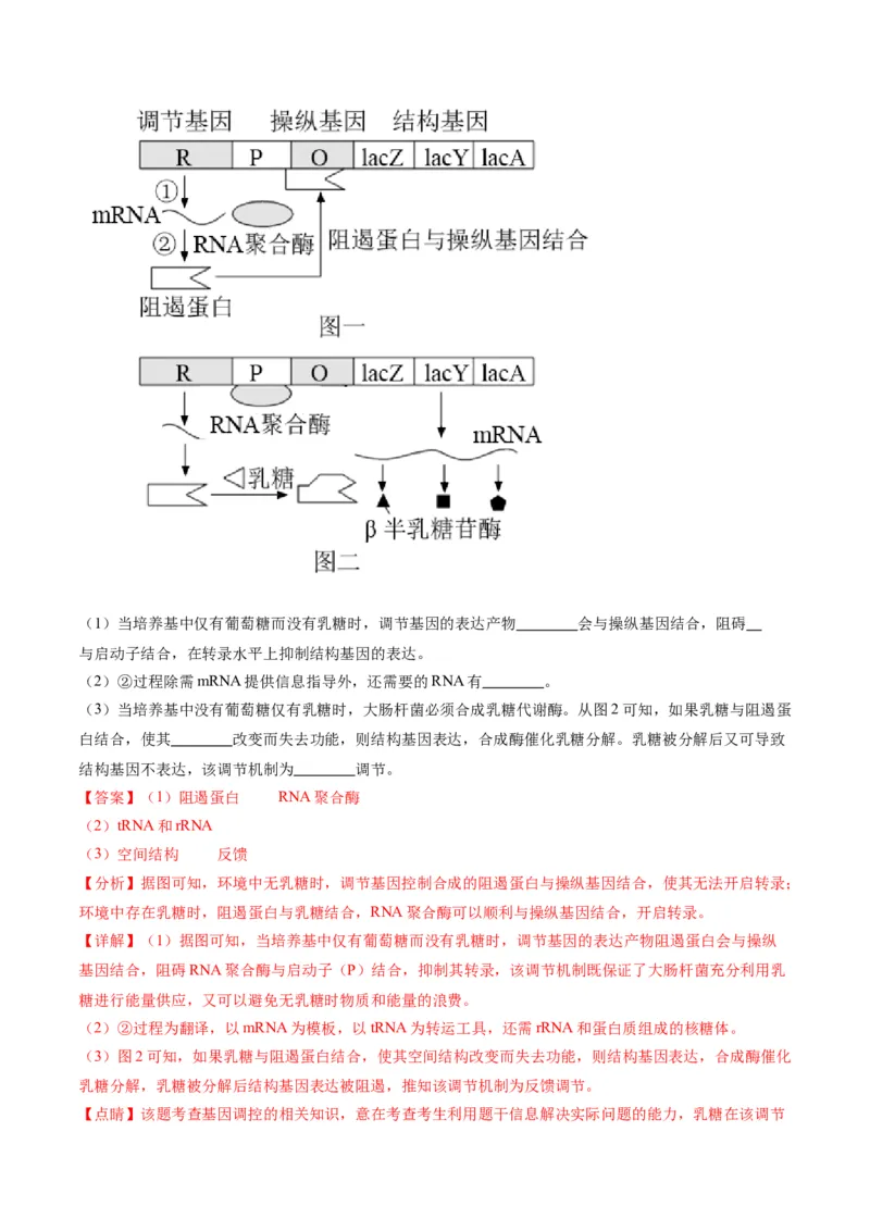 黄金卷04（解析版）-赢在高考&middot;黄金8卷备战2024年高考生物模拟卷（天津专用）_2024年新高考资料_4.2024高考模拟预测试卷