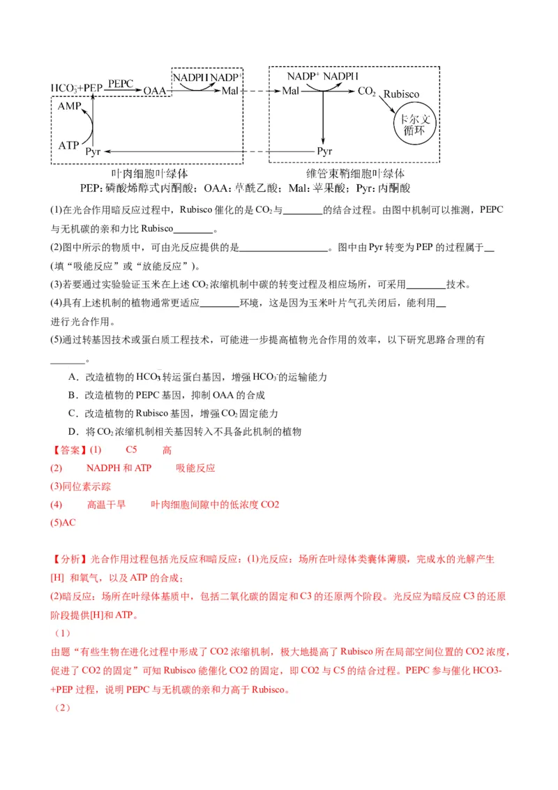 黄金卷04（解析版）-赢在高考&middot;黄金8卷备战2024年高考生物模拟卷（天津专用）_2024年新高考资料_4.2024高考模拟预测试卷