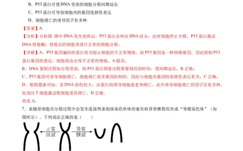 黄金卷04（解析版）-赢在高考&middot;黄金8卷备战2024年高考生物模拟卷（天津专用）_2024年新高考资料_4.2024高考模拟预测试卷