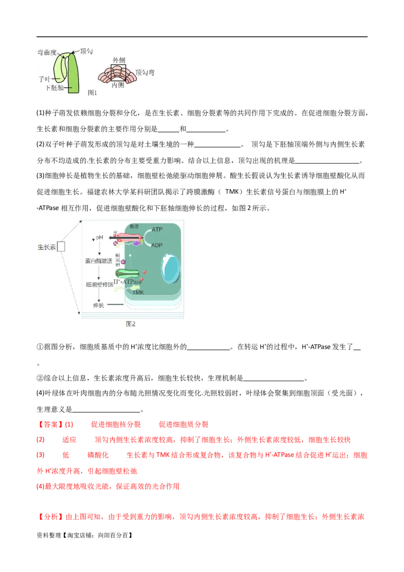 专题08植物生命活动调节（解析版）_新高考复习资料_2024年新高考复习资料_❤专项复习资料_2024年高考生物热点&middot;重点&middot;难点专练（新高考专用）_教师版（含答案解析）